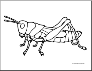 grasshopper-coloring-page-clip-art-1770984